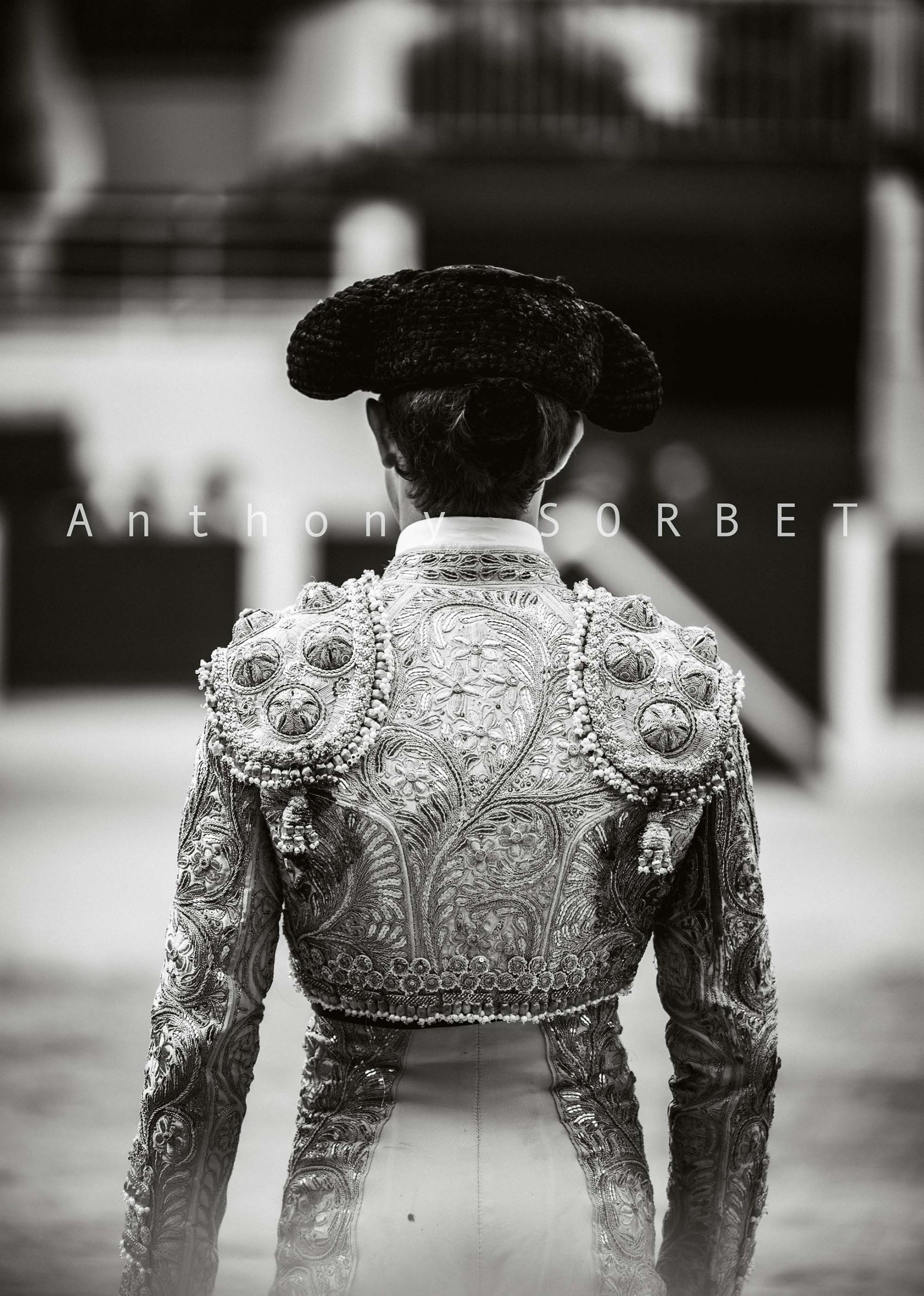 toros-anthonysorbet-tauromachie-photo