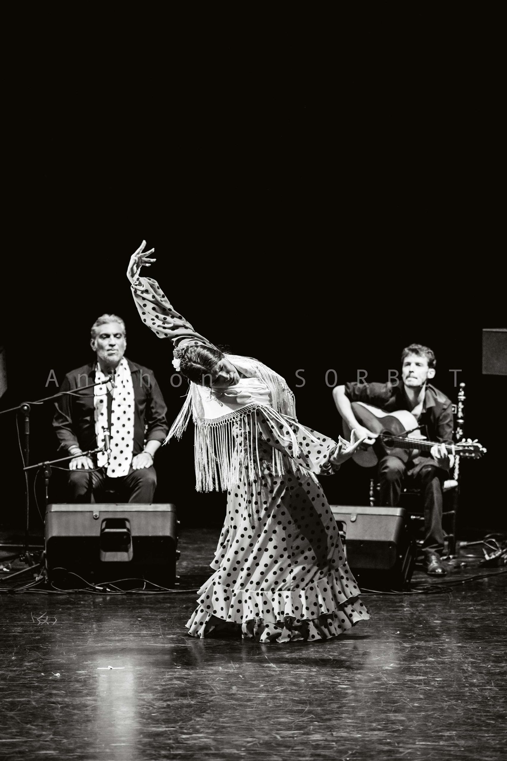 Caroline David Flamenco Sorbet Anthony