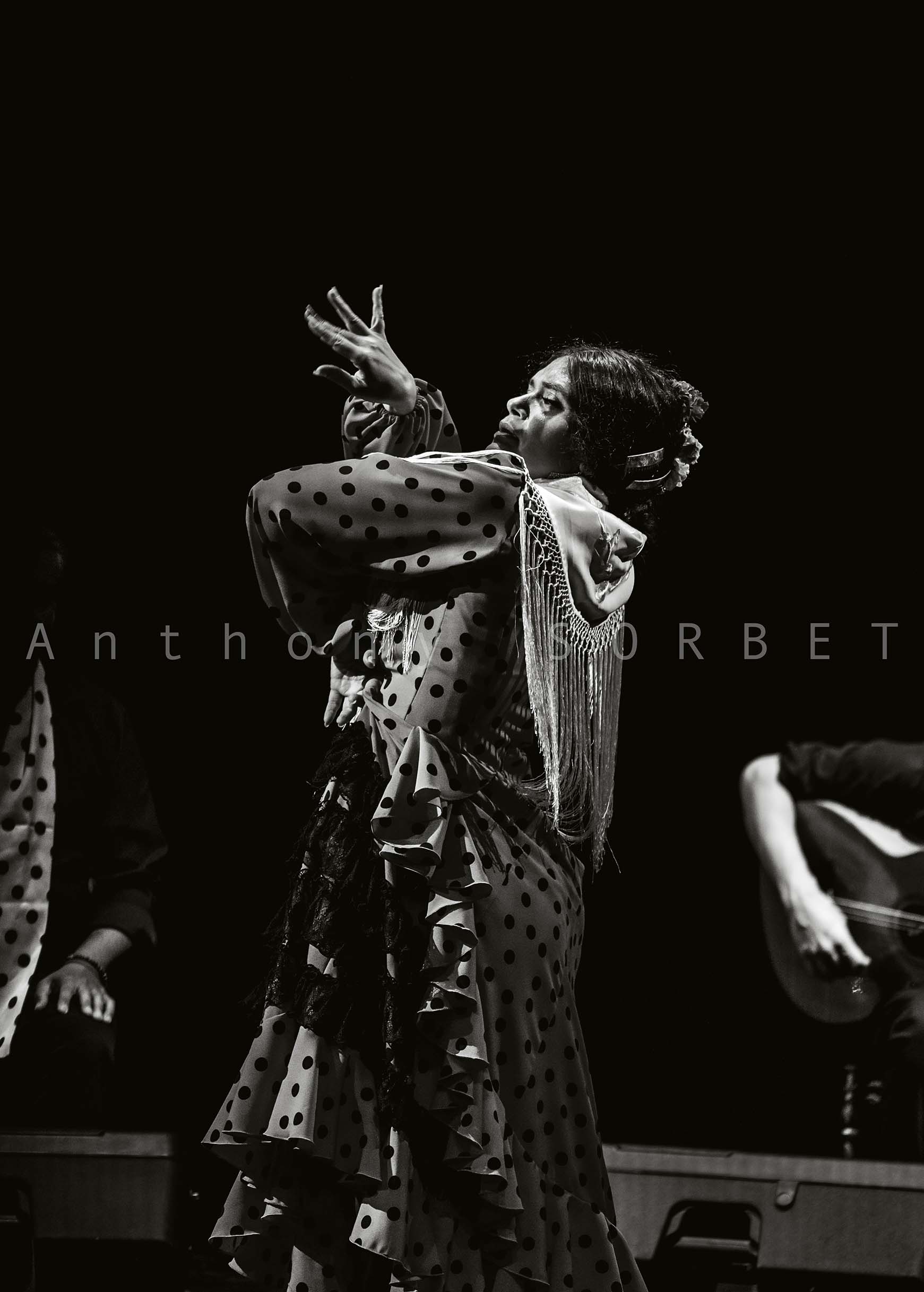 Caroline David Flamenco Sorbet Anthony