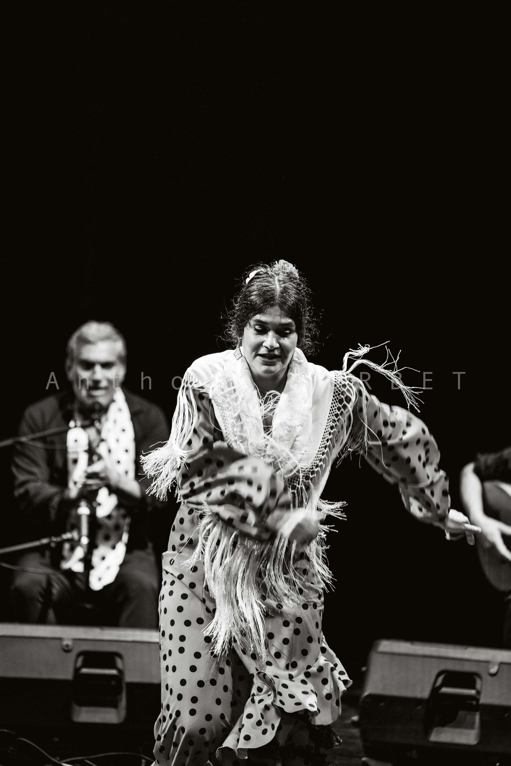 Caroline David Flamenco Sorbet Anthony