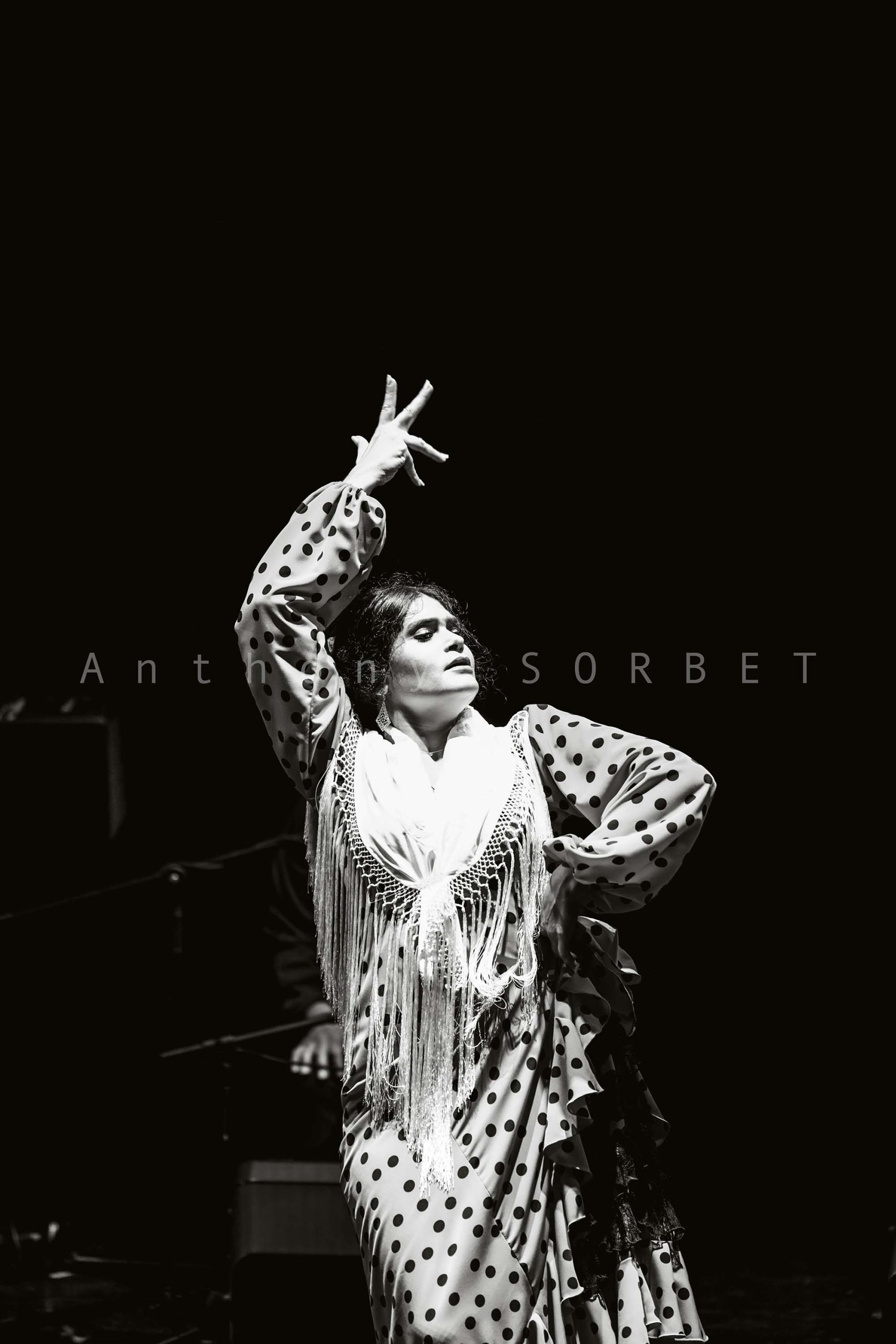 Caroline David Flamenco Sorbet Anthony
