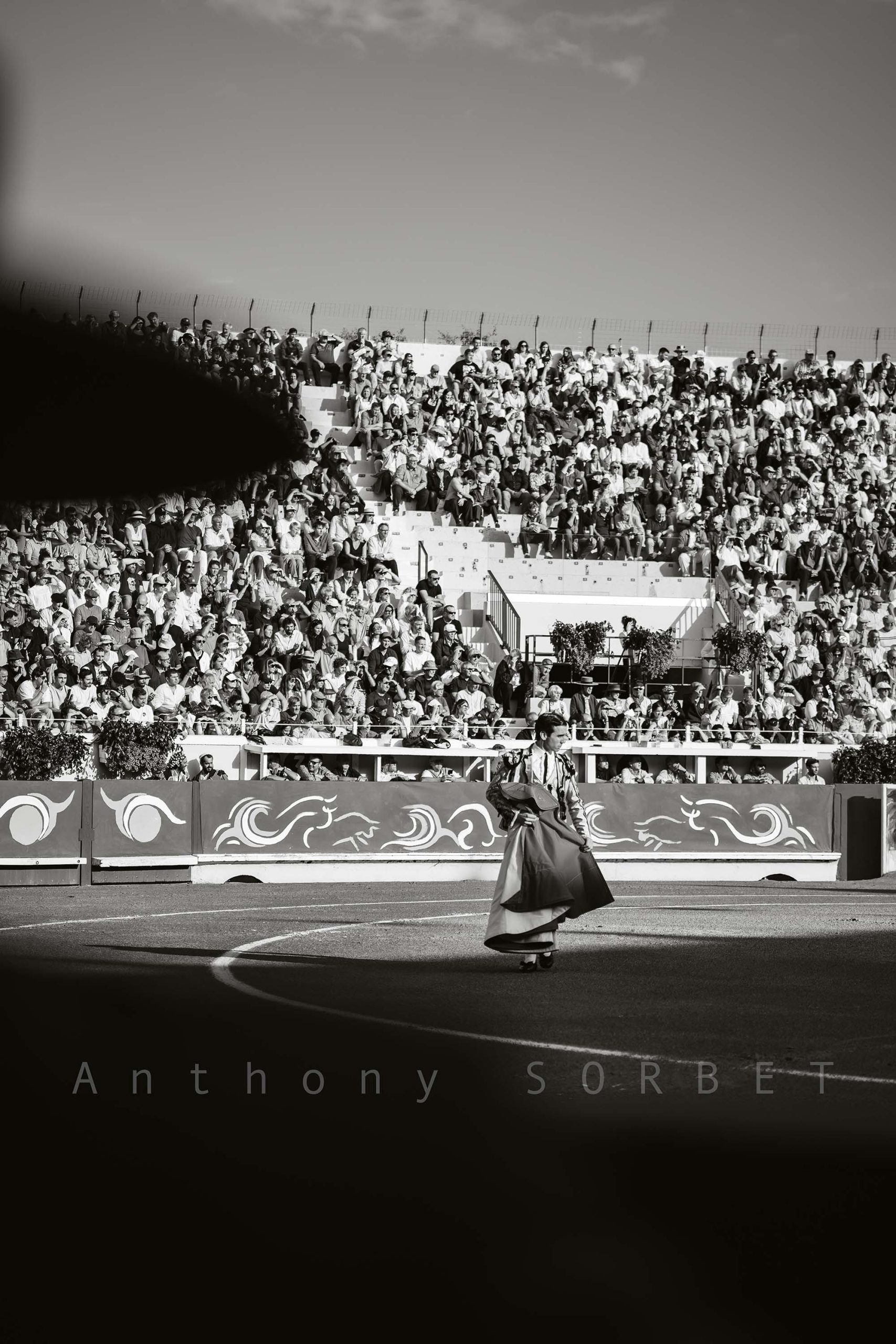 toros-anthonysorbet-tauromachie-photo