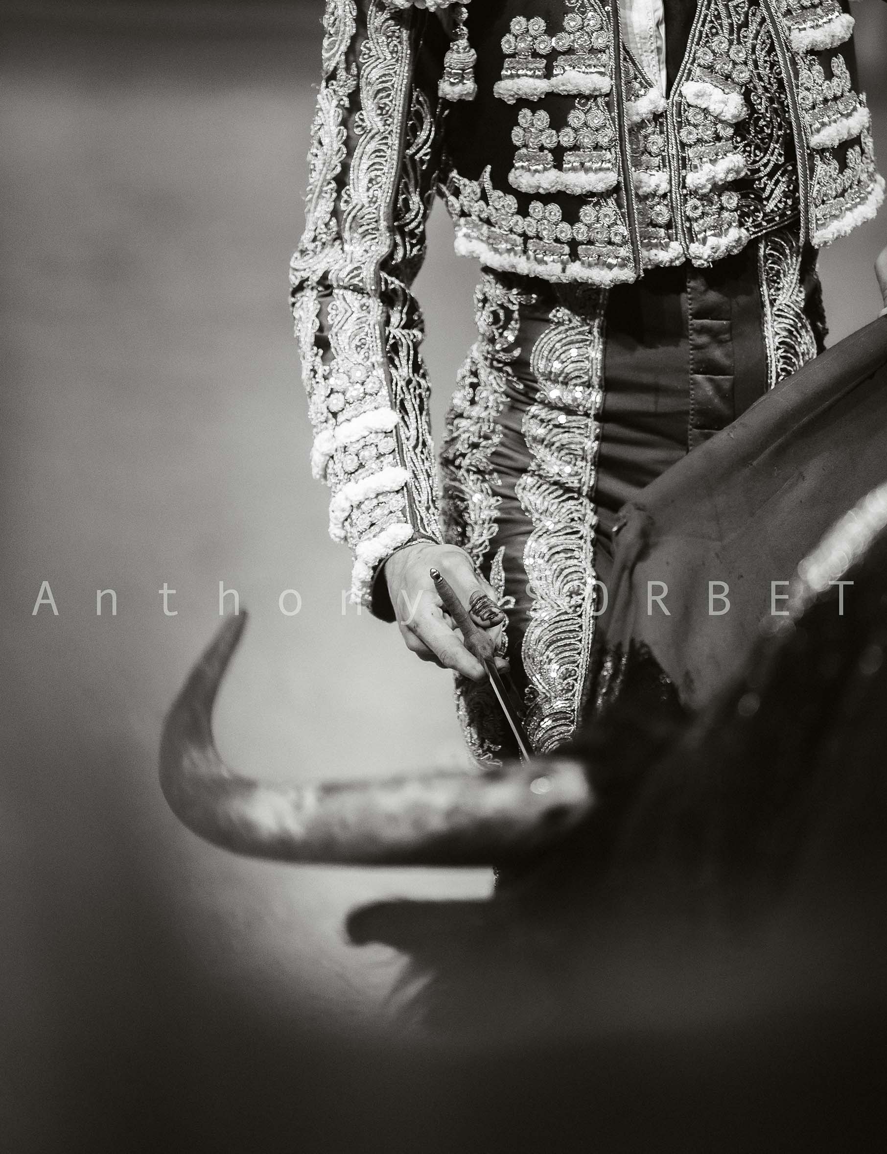 toros-anthonysorbet-tauromachie-photo