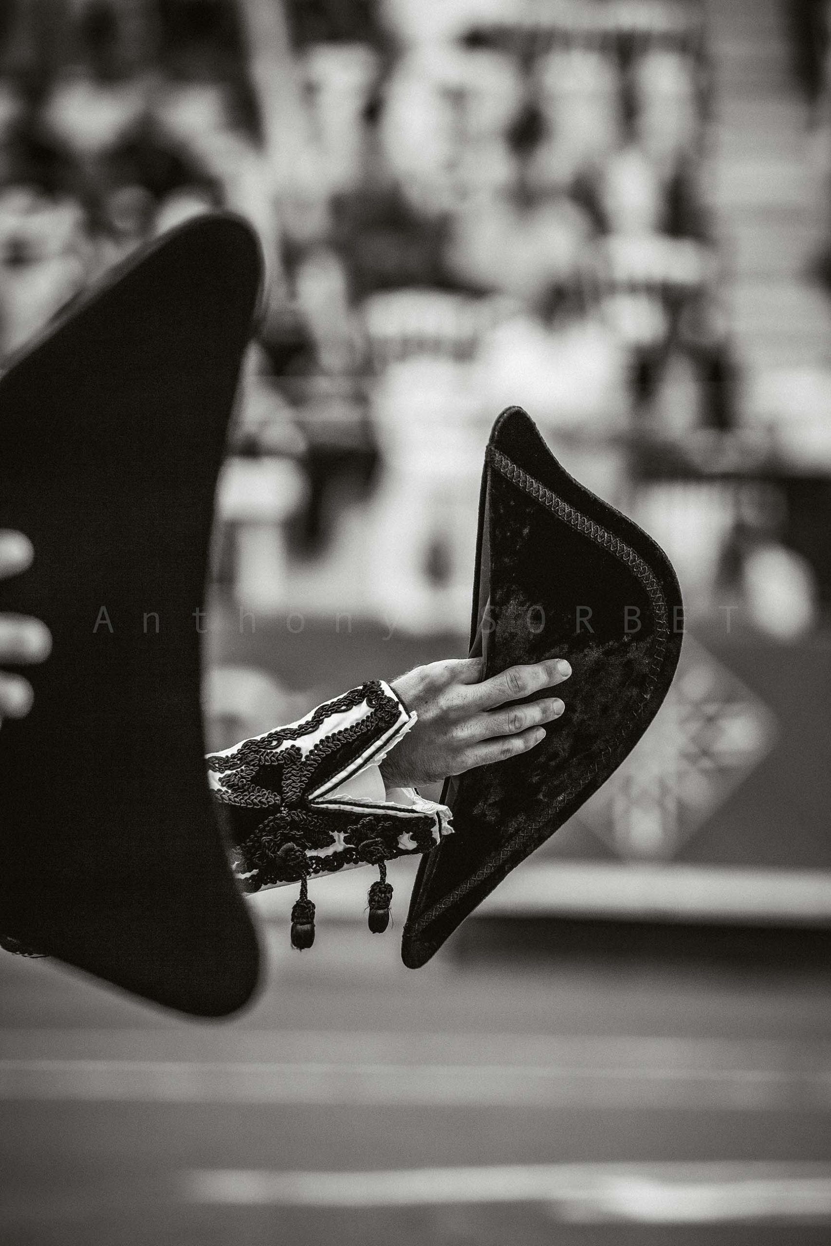 toros-anthonysorbet-tauromachie-photo
