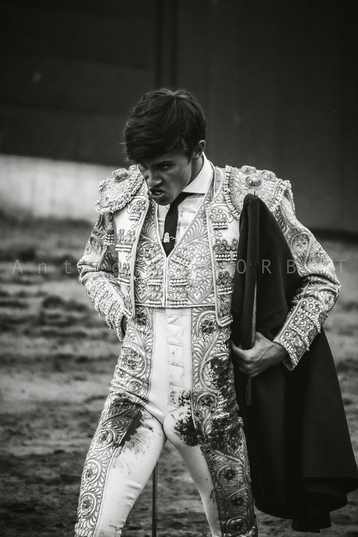 toros-anthonysorbet-tauromachie-photo