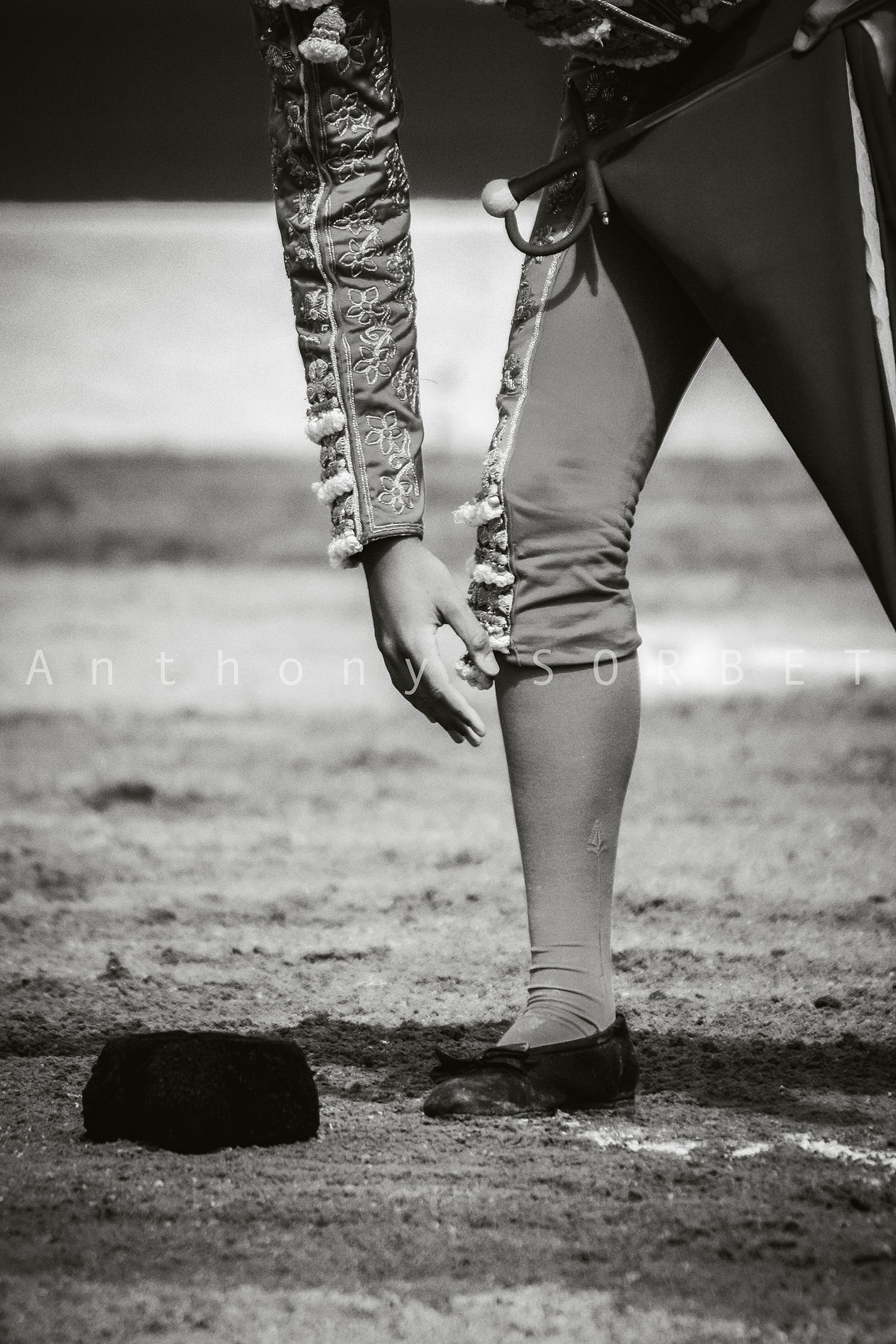 toros-anthonysorbet-tauromachie-photo