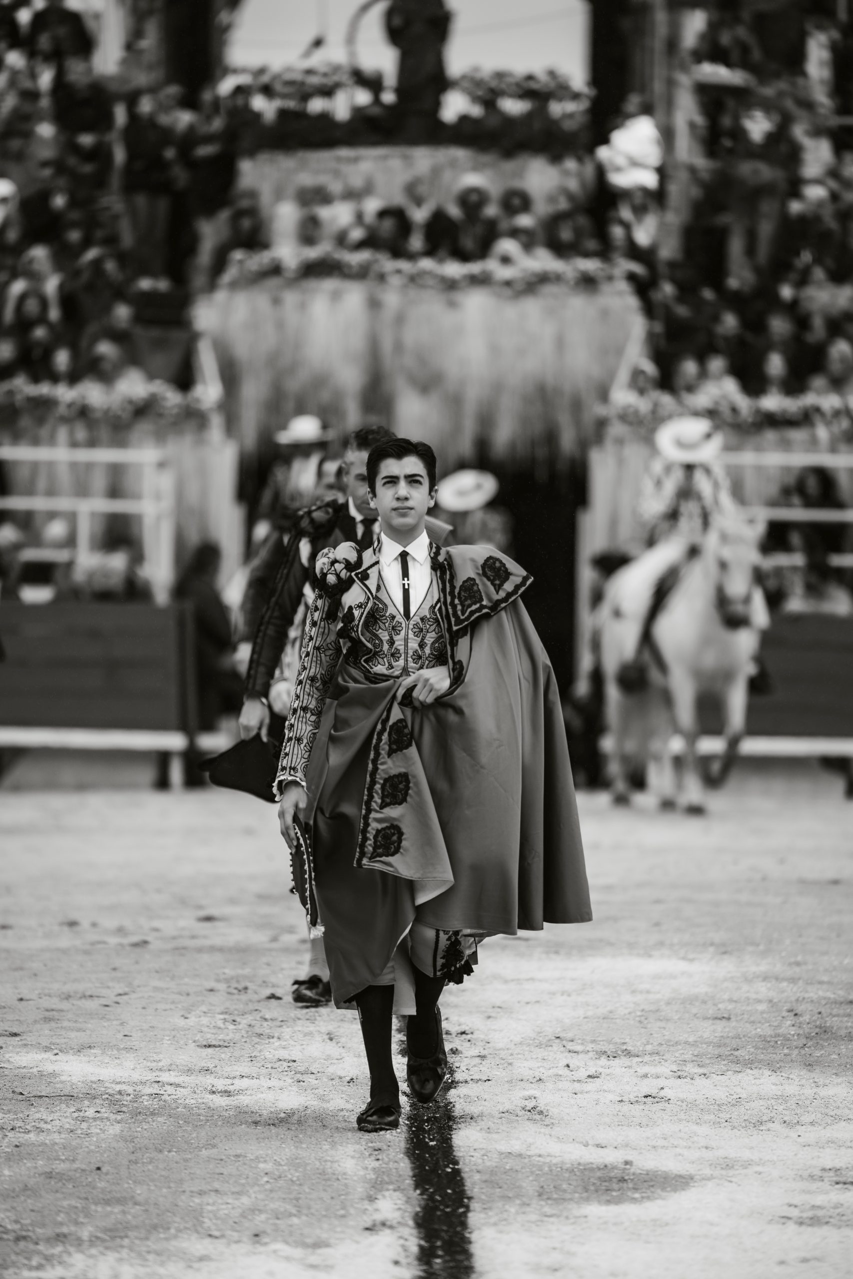 Photo toros Sorbet Anthony