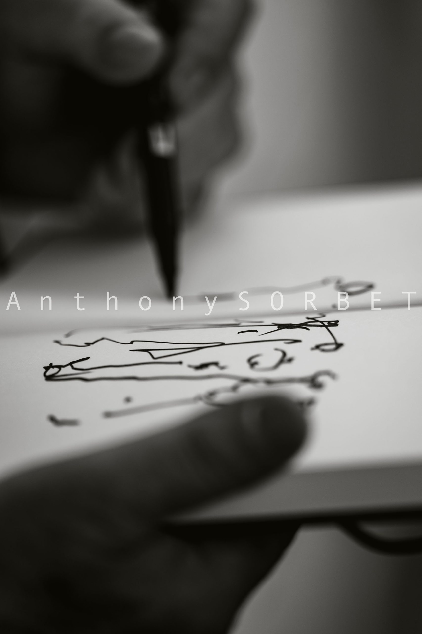 Photo toros Sorbet Anthony