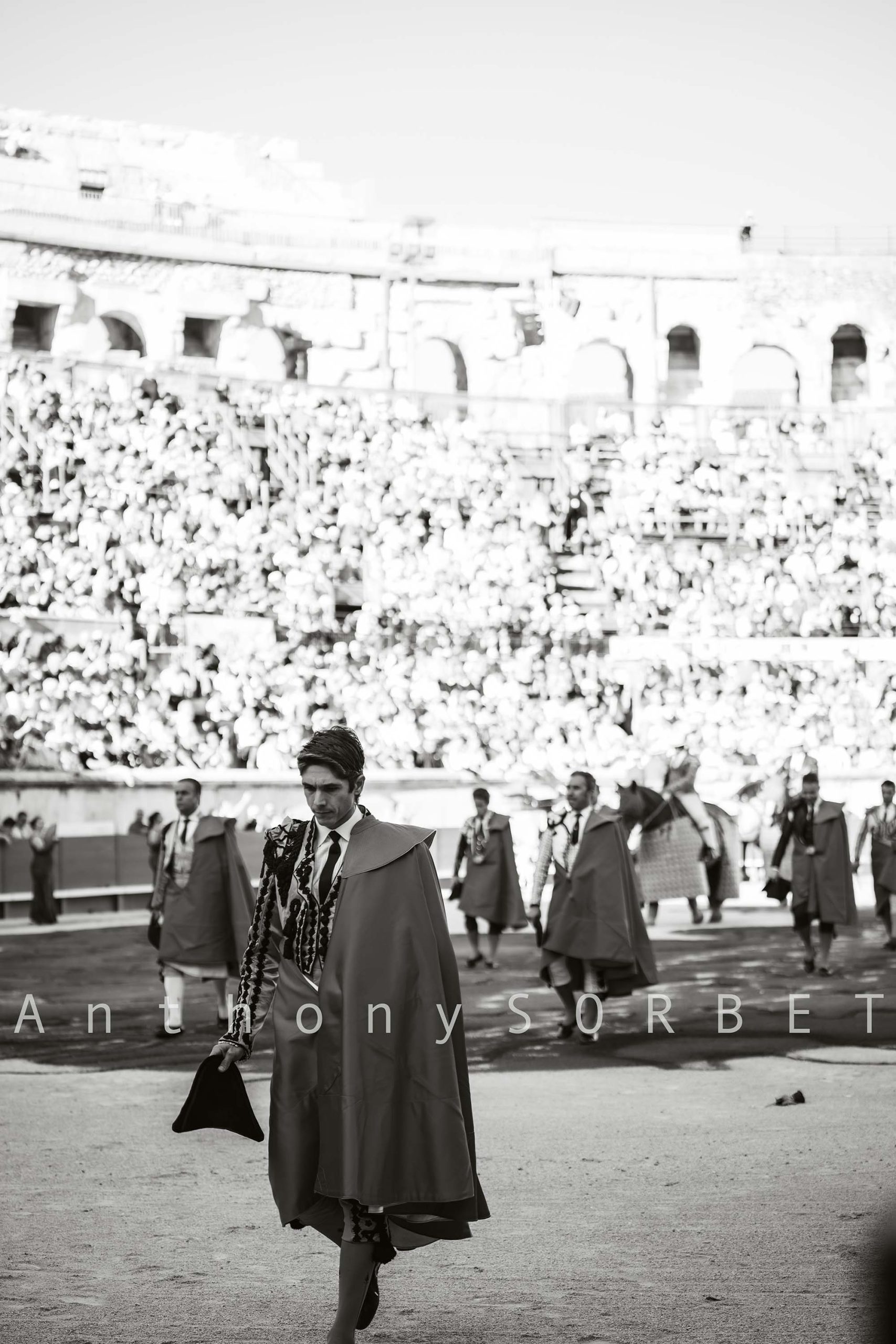 Photo toros Sorbet Anthony Sebastien Castella